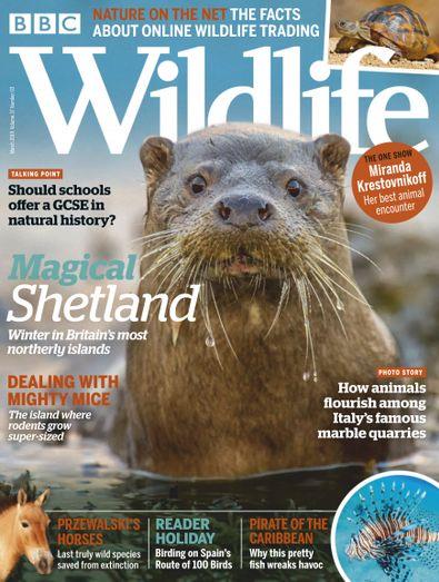 BBC Wildlife (UK) Magazine 12 Month Subscription