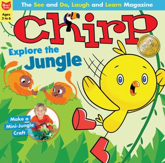Chirp Magazine 12 Month Subscription