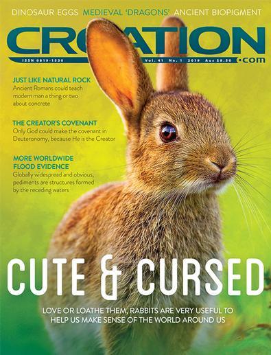 Creation Magazine 12 Month Subscription