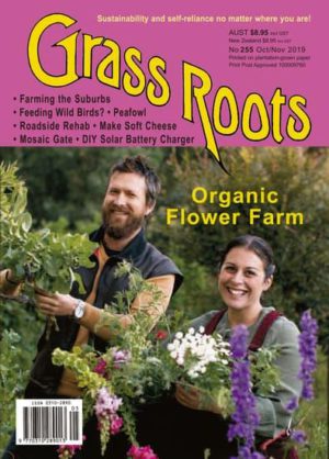 Grass Roots Magazine 12 Month Subscription