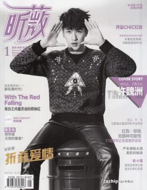 VIVI (Chinese) Magazine 12 Month Subscription