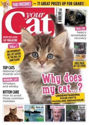 Your Cat (UK) Magazine 12 Month Subscription